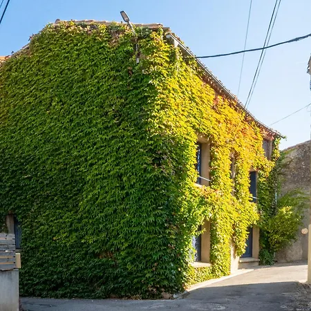 Charmante Maison De Village Laure-Minervois