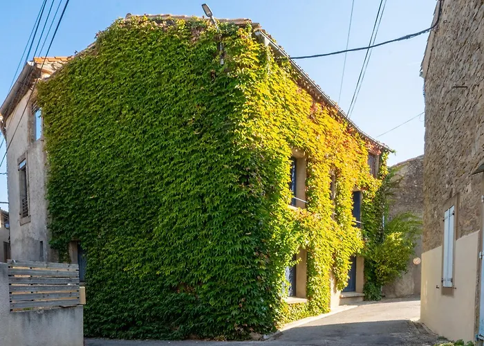 Charmante Maison De Village Laure-Minervois